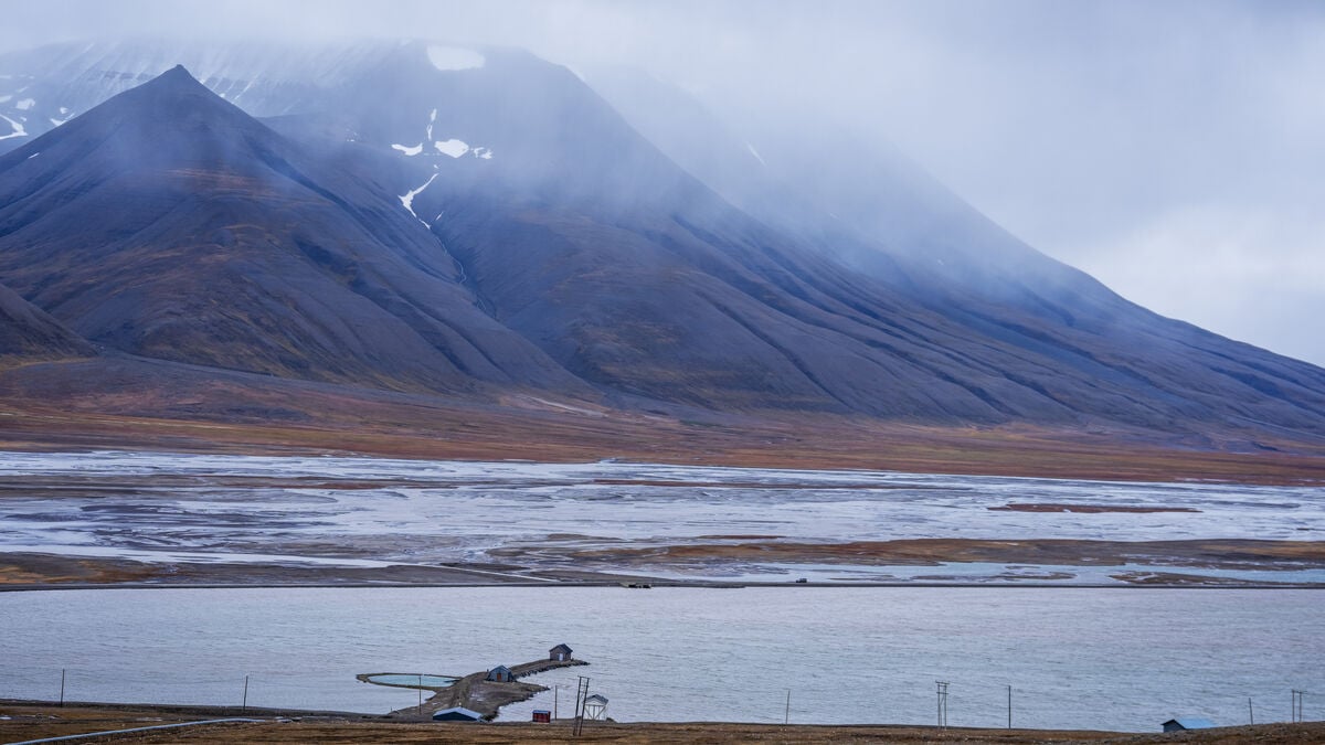Sources: NATO allies stopped Russian undersea cable sabotage exercise near Svalbard