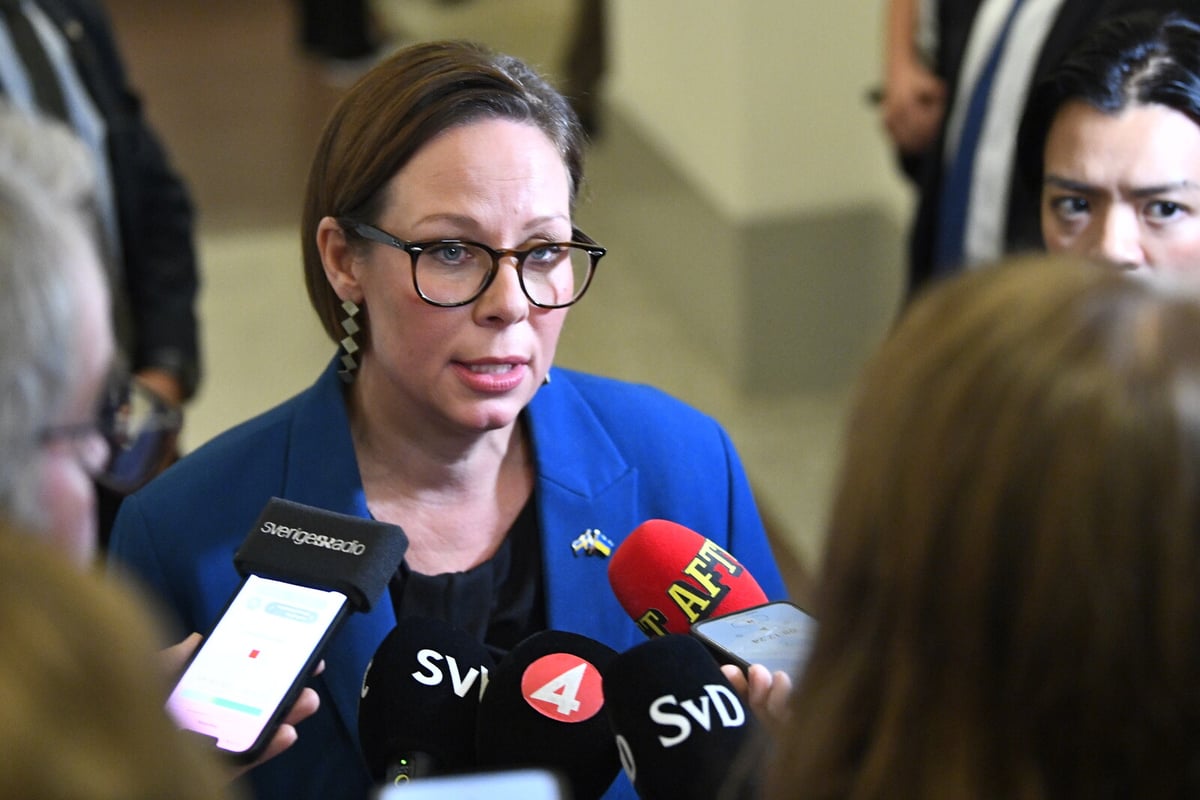 Swedish Foreign Minister Denies Government Split on Israel Policy