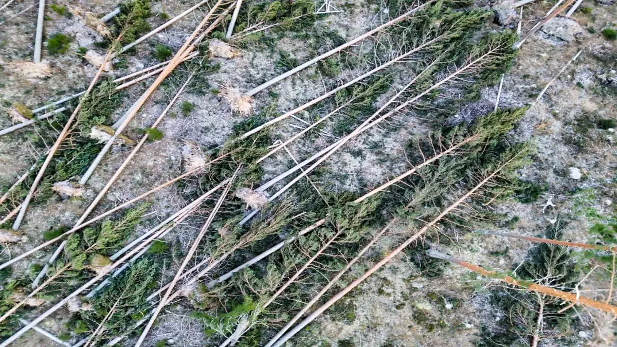 Worst storm damage to the