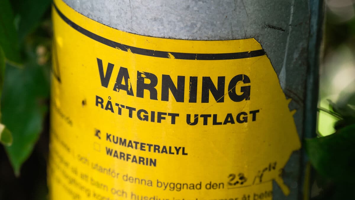 Illegal pesticides common in online stores, Swedish Chemicals Agency review finds