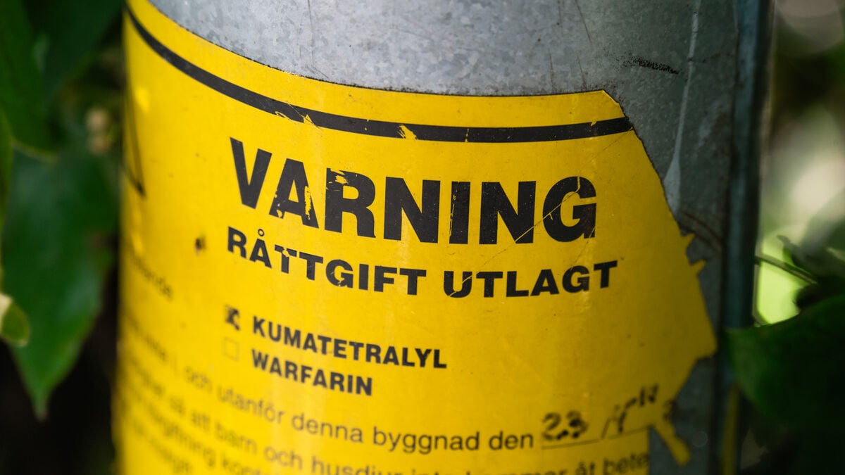 Illegal pesticides common in online stores, Swedish Chemicals Agency review finds