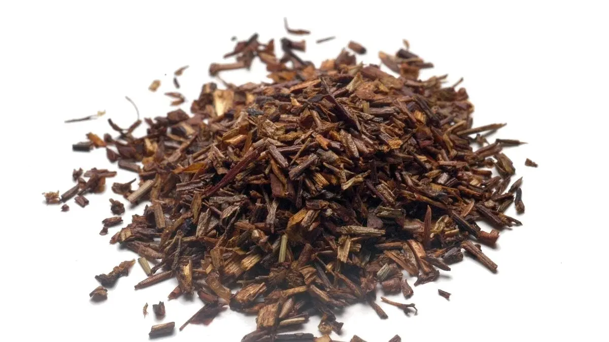 South African rooibos seeds to travel to the International Space Station