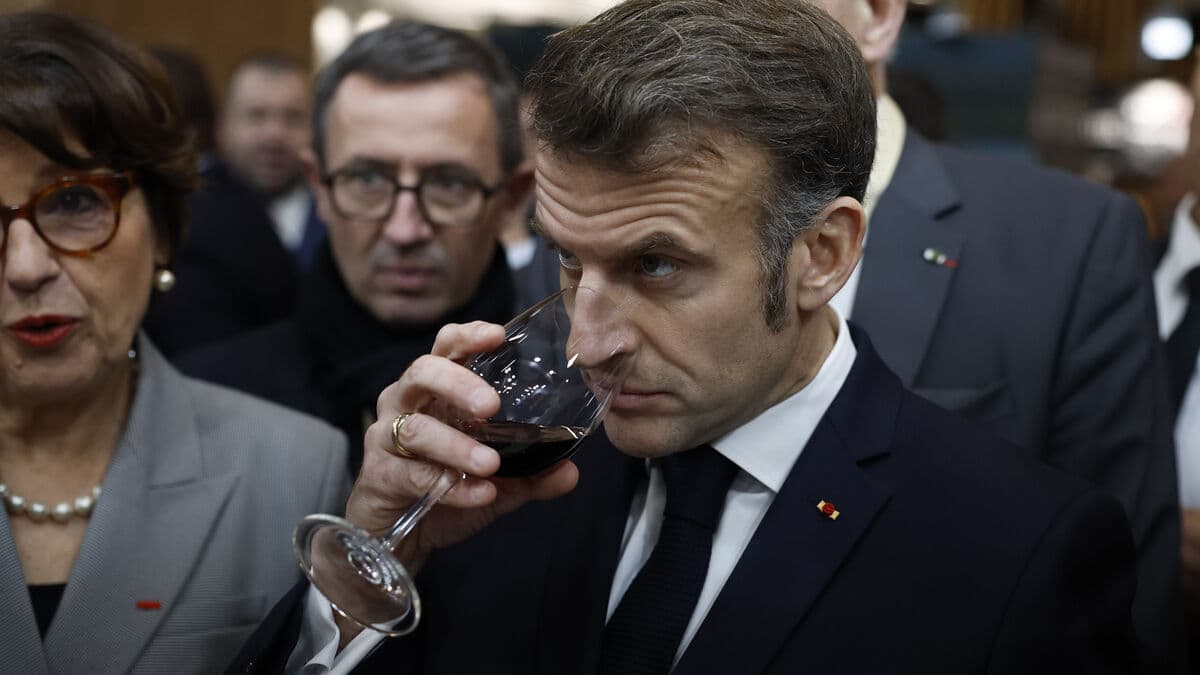 Uprooted vines will save the French wine industry, Macron says