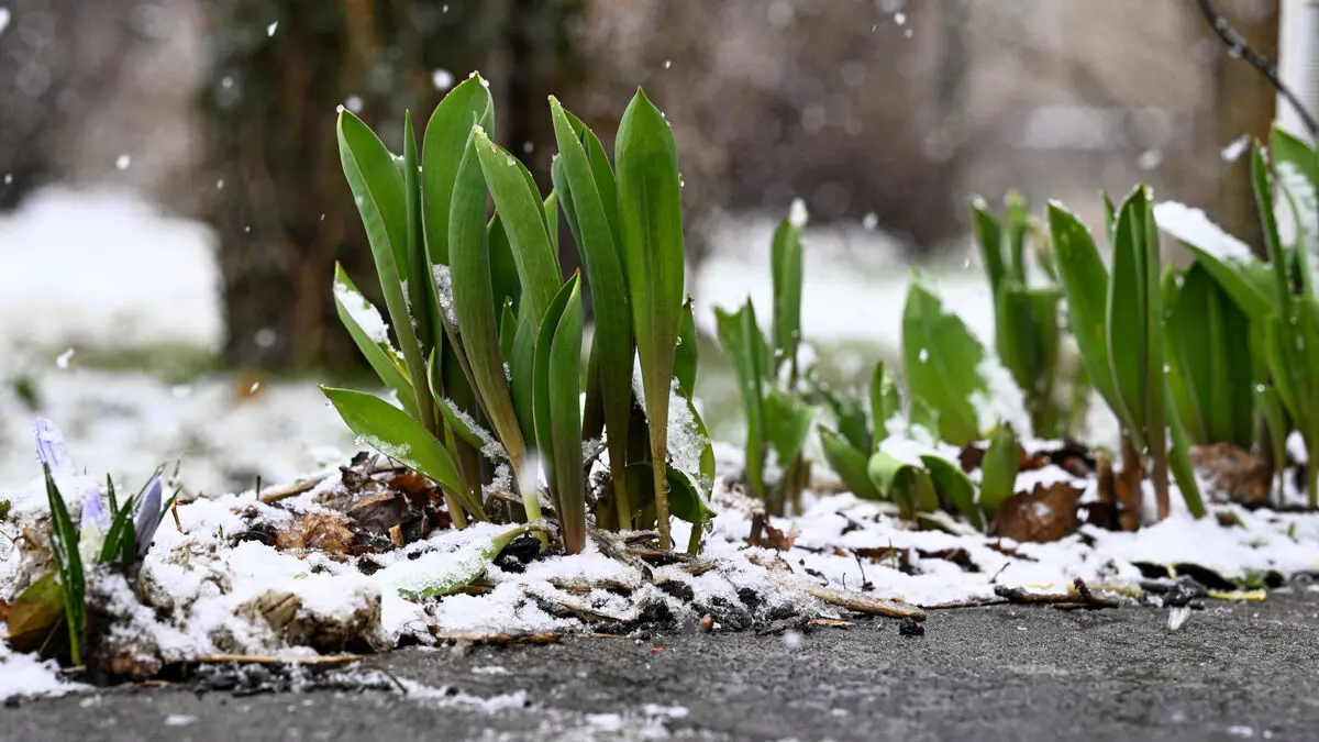 Now it's changing: Cold northerly