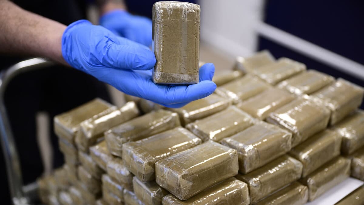 Man Charged After 24 Kilos of Cannabis Found in Car Doors