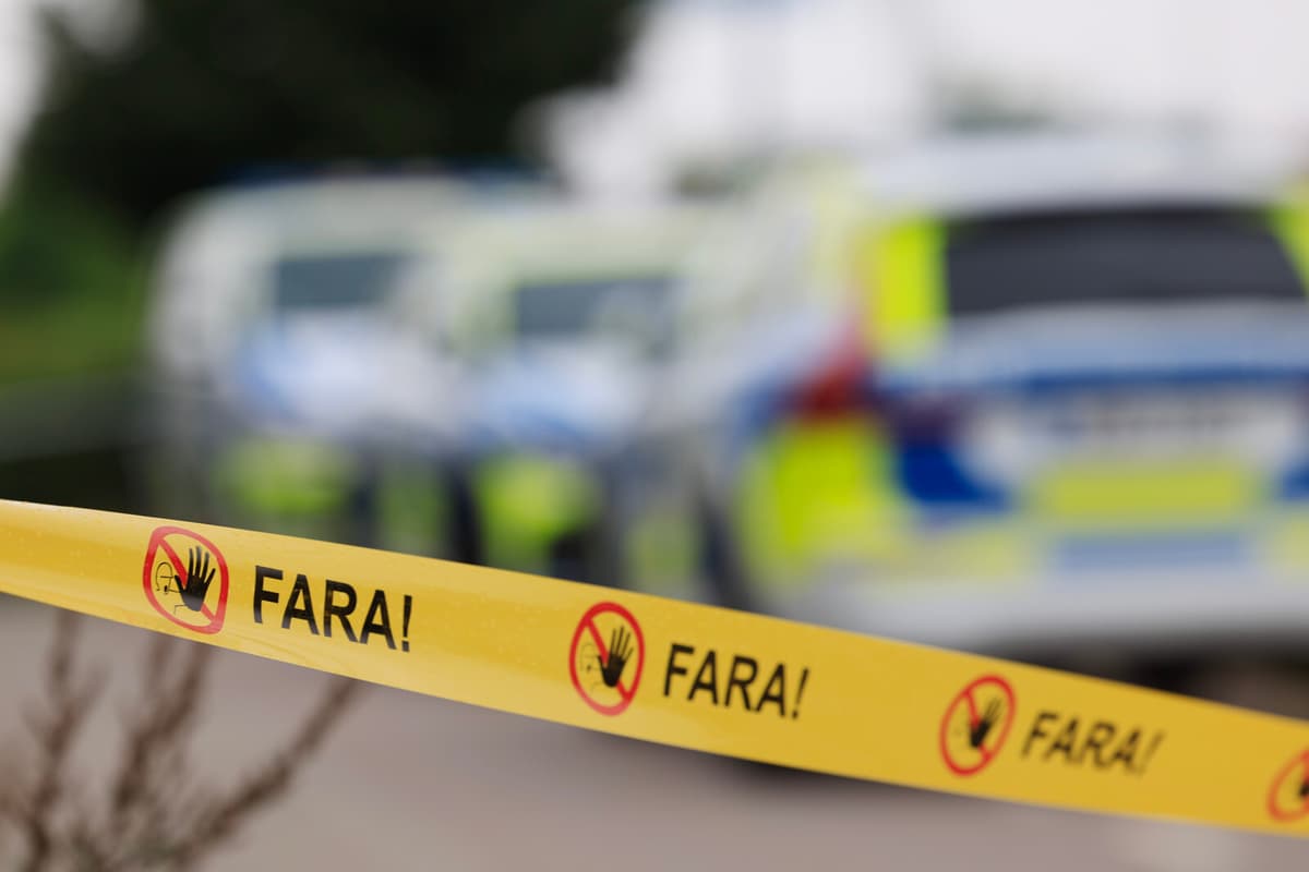 Old Sea Mine from WWII Safely Detonated in Karlstad