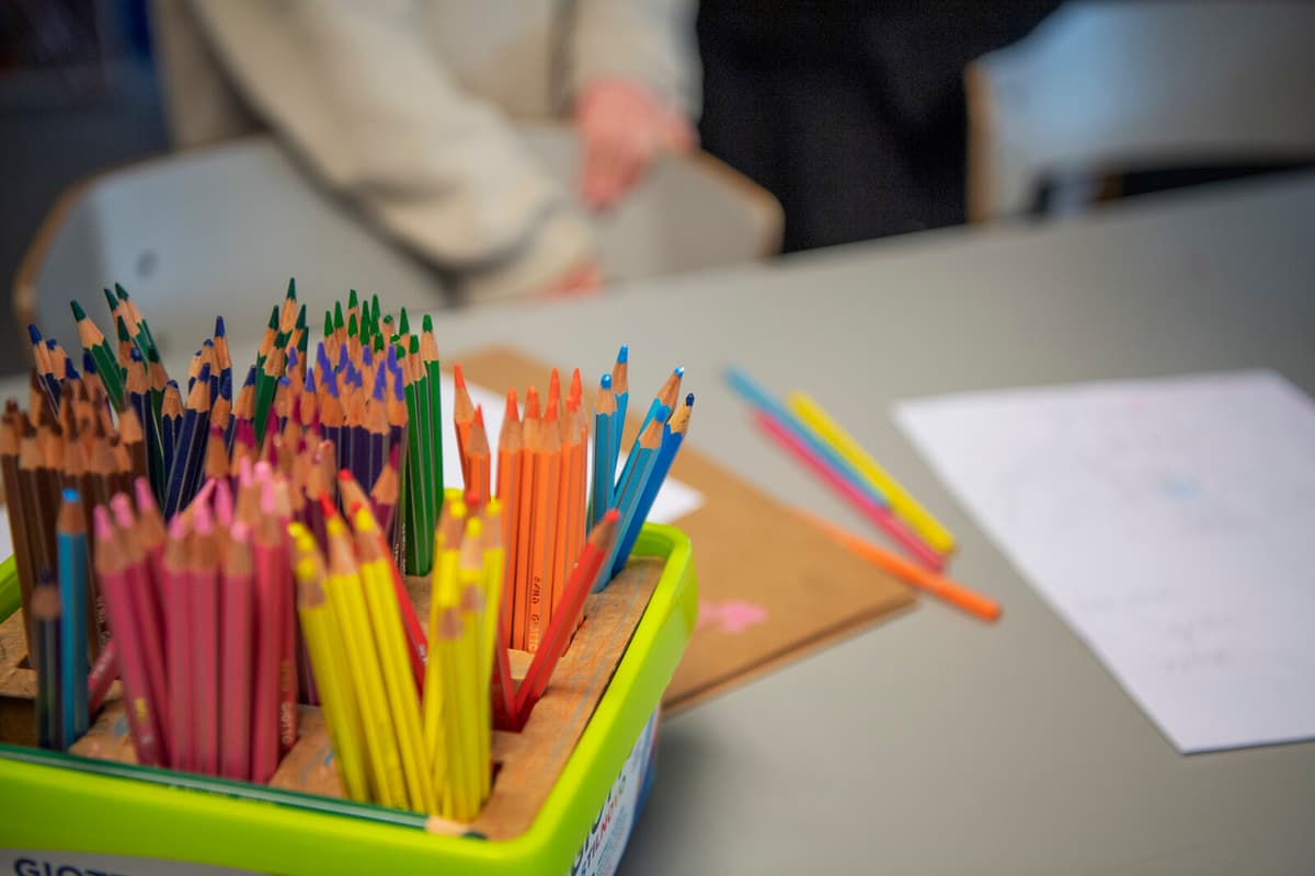 School Employee in Skåne Arrested for Suspected Child Exploitation