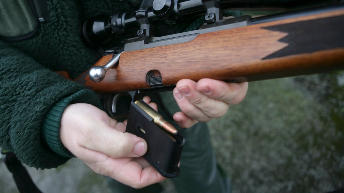 Professor: Demand Psychological Testing for Gun Licenses