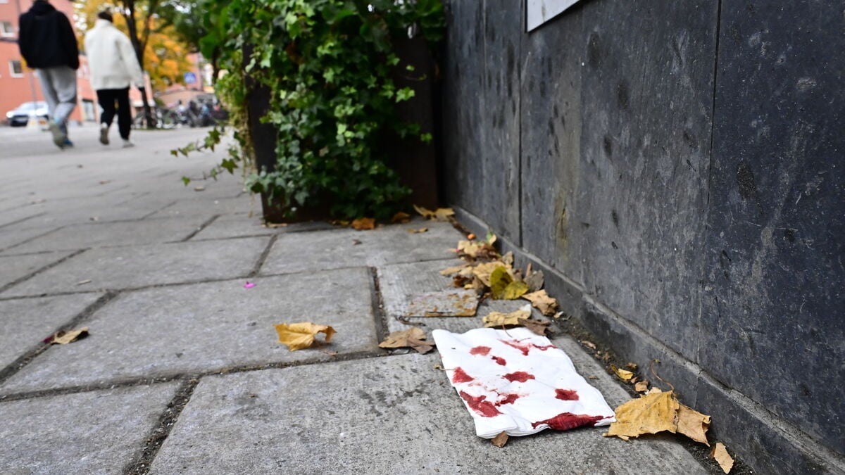 13-year-old boy suspected in Gävle shooting, prosecutor says 29 attempted murders possible
