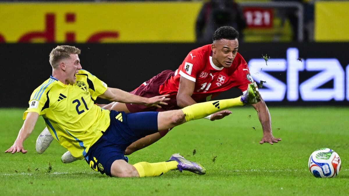 Swedish Players Back Coach Tomasson Despite World Cup Qualifier Loss