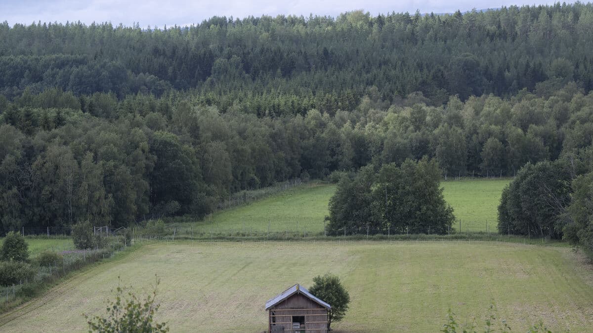 National Land Survey to Cut Staff Due to Fewer Property Cases