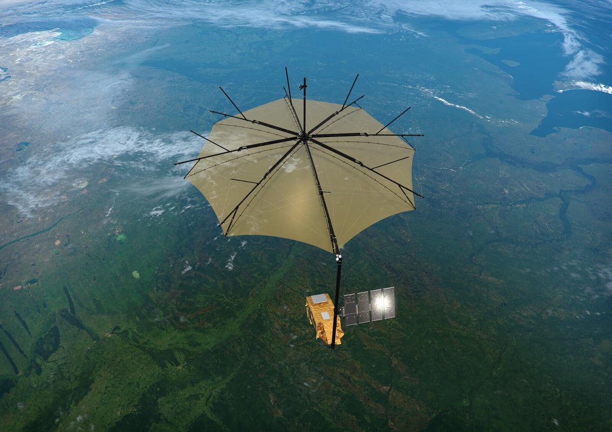Satellites to Measure Global Forest Biomass from Space