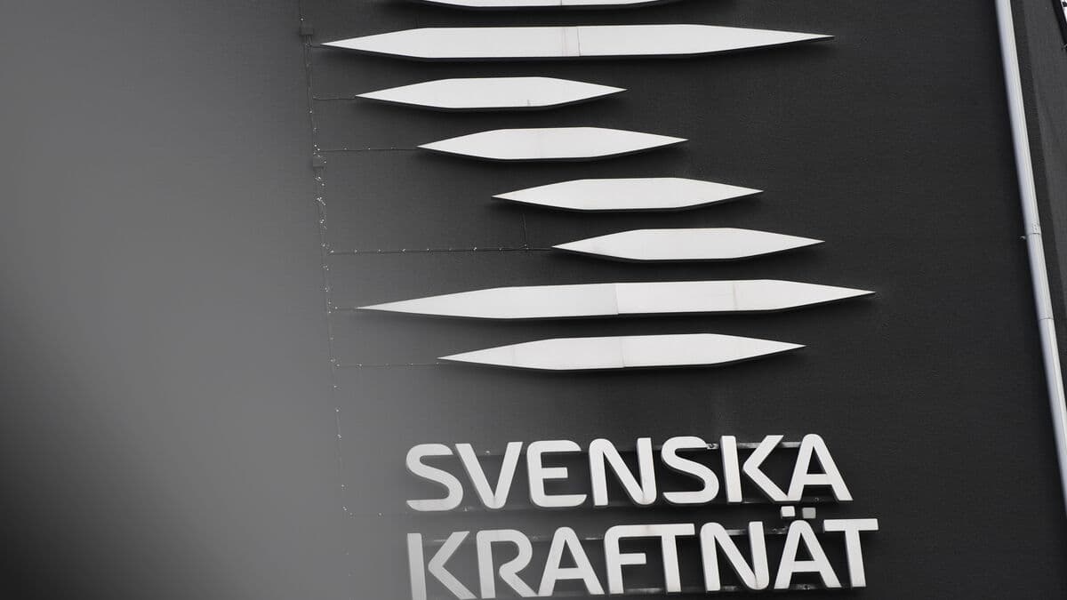 Hacker Attack Targets Swedish National