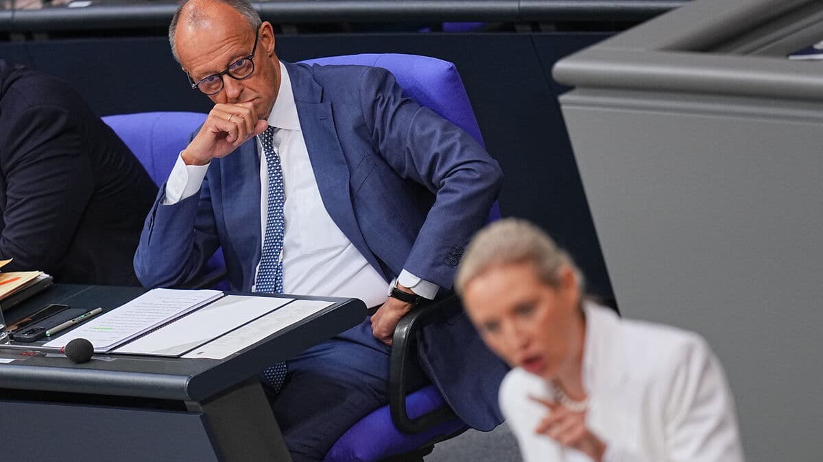 Merz says AfD’s remigration calls amount to ethnic cleansing