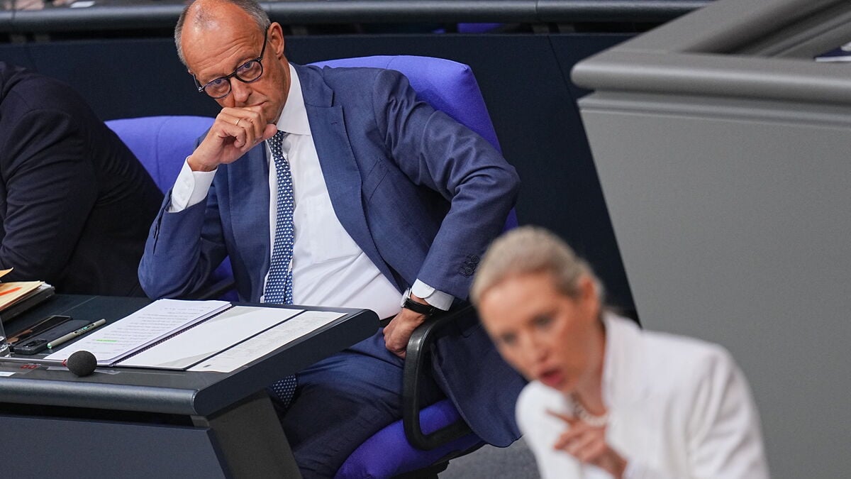 Merz says AfD’s remigration calls amount to ethnic cleansing