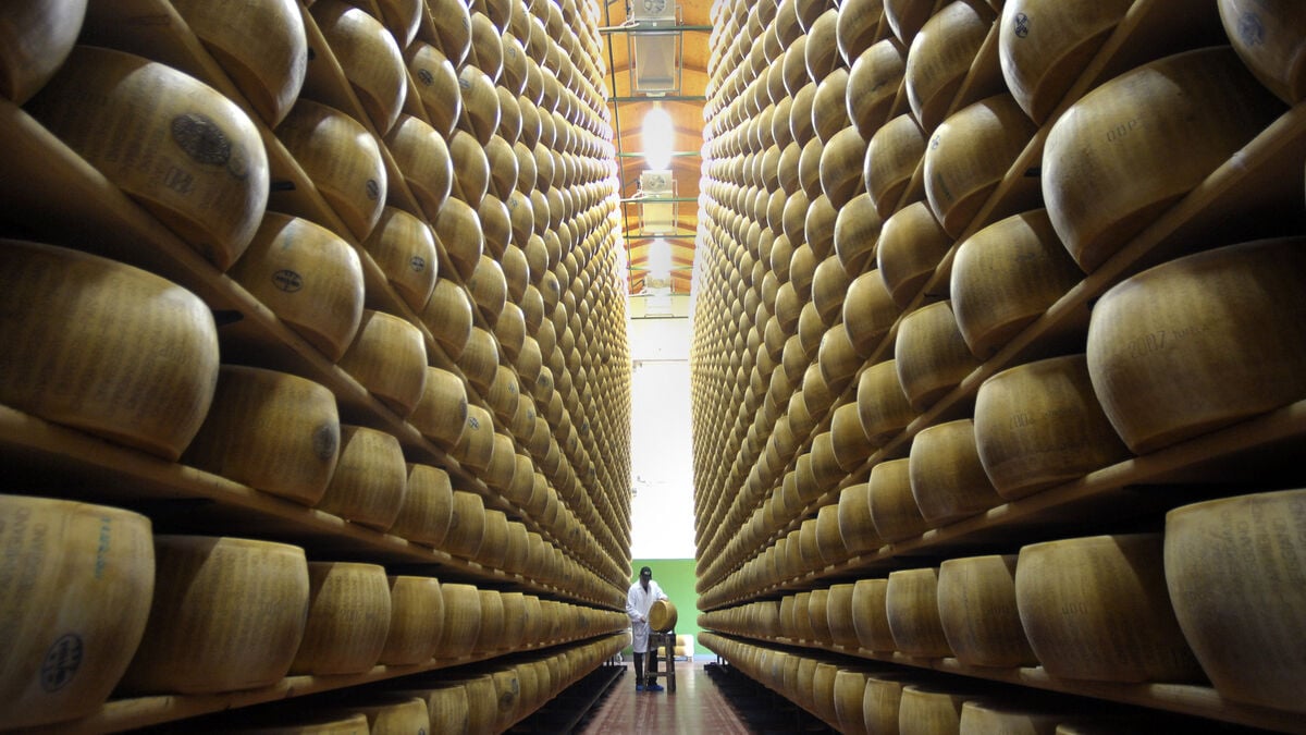 Extreme heat threatens Italy’s Parmesan cheese production