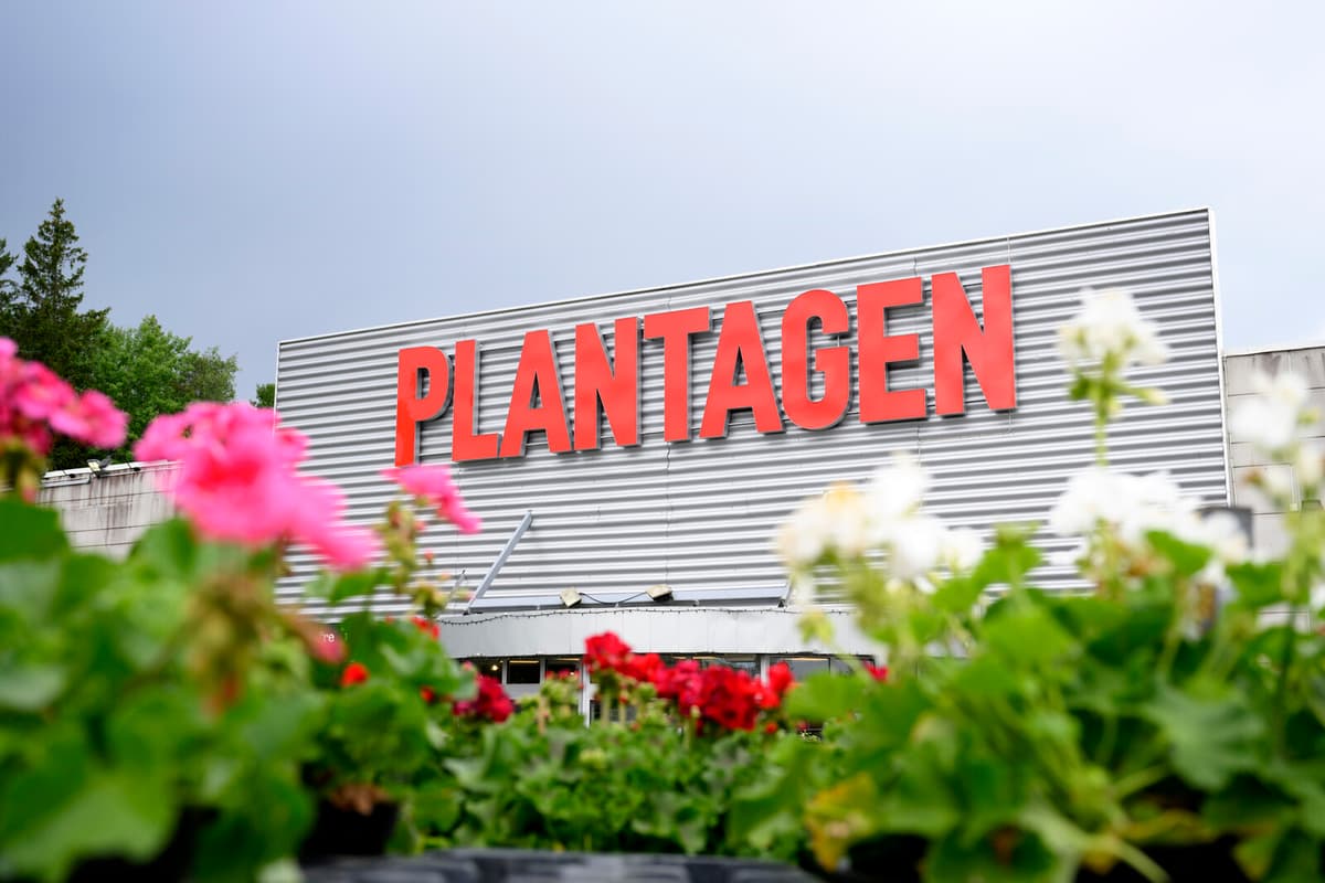Ratos Sees Profit Increase Despite Lower Sales at Plantagen