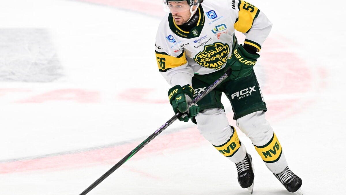 Second straight for Björklöven - Karlskoga pressed in all-Swedish hockey final