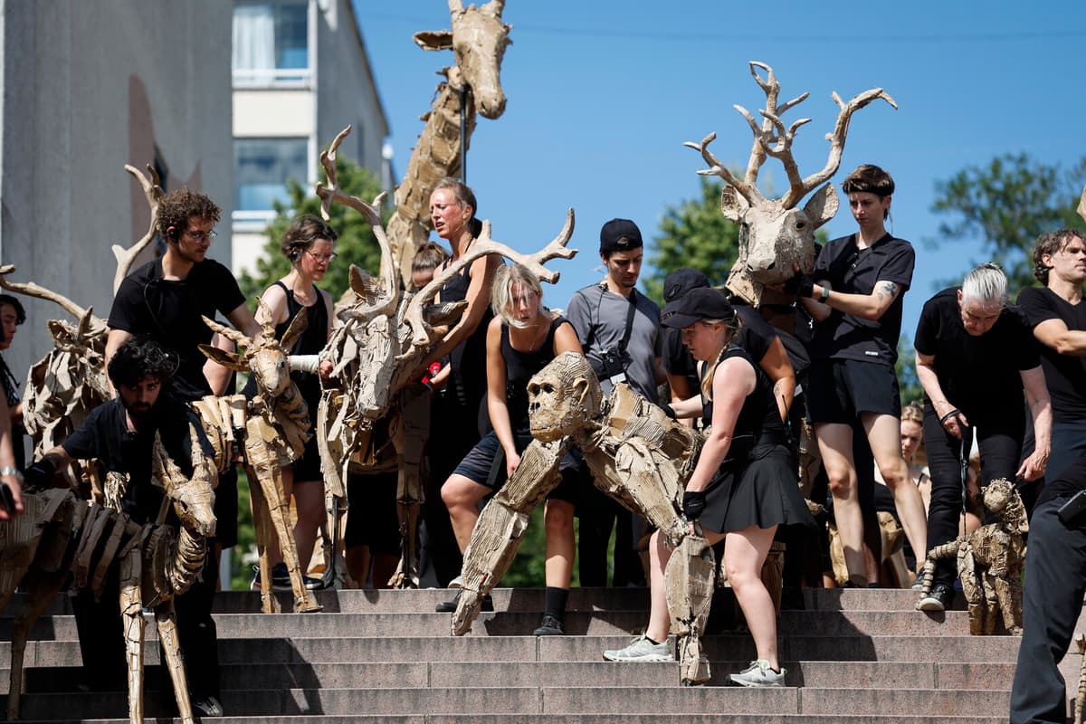 Cardboard Animal Art Project Arrives in Stockholm
