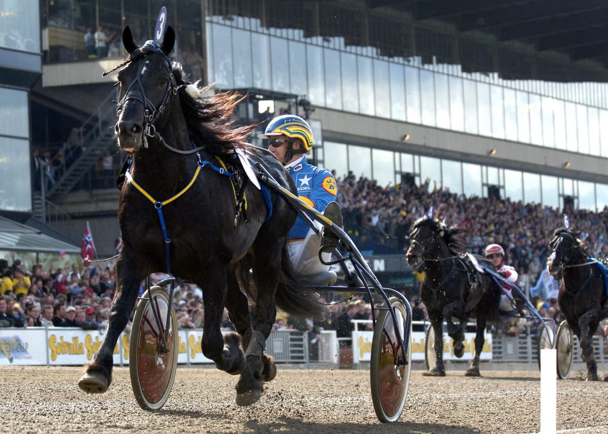 Norwegian Stallion Brenne Borken Breaks Järvsöfaks' 20-Year Record