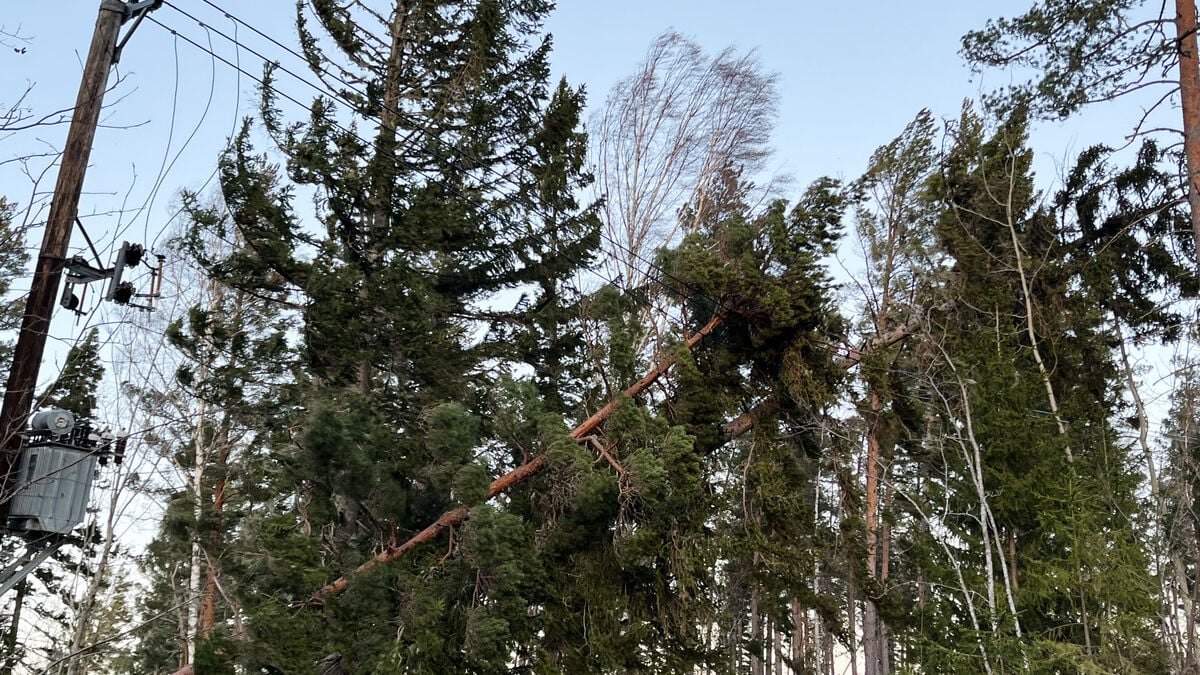 Storms prompt Lingbo village to act after one thing on top of another