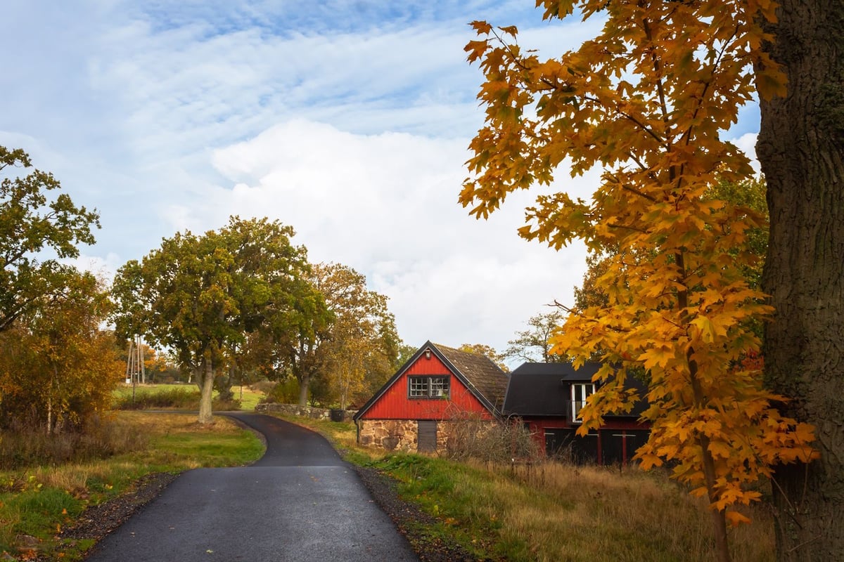 Why Are Swedish Houses Red?