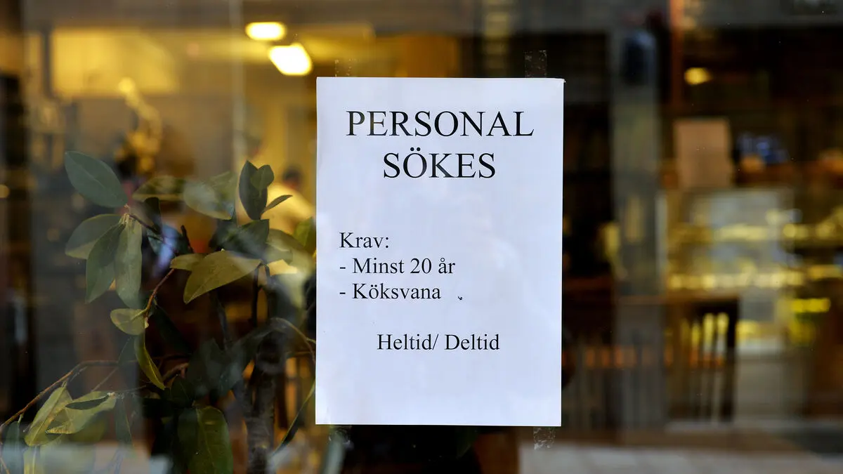 Statistics Sweden: Positive signs in the labor market as employment rises and unemployment holds steady