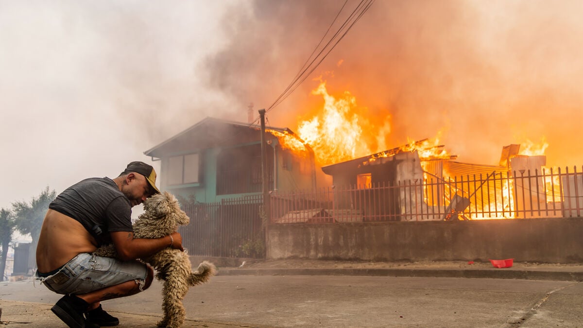 Fires in Chile - death toll rises to at least 18