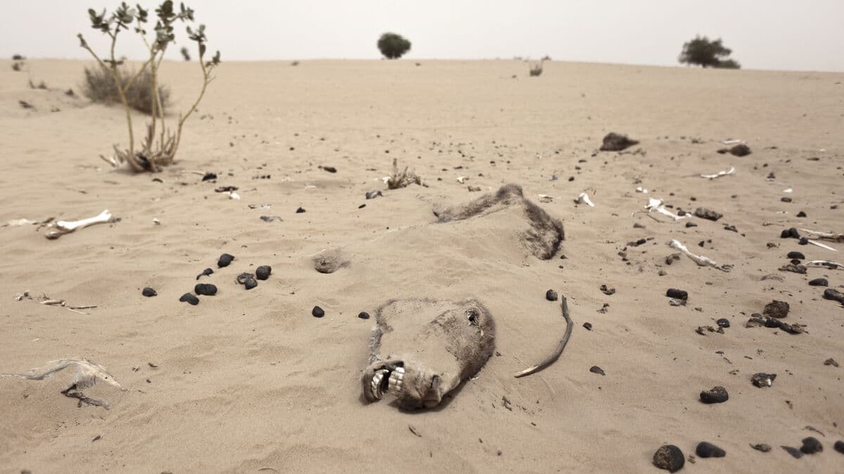 Ancient Bronze Age cultures were wiped out by super drought, and it could happen again