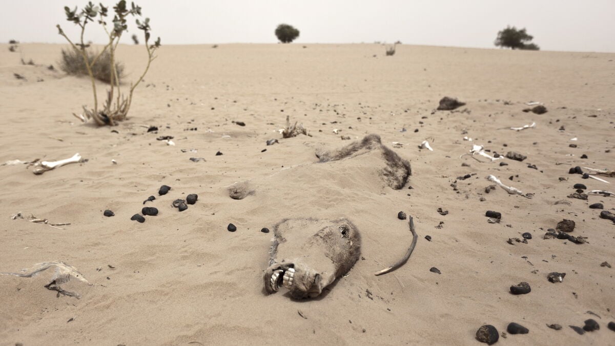Ancient Bronze Age cultures were wiped out by super drought, and it could happen again