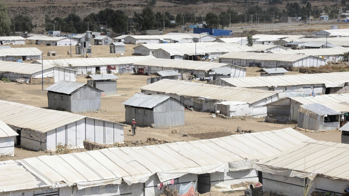 Ethiopian government forces enter Tigray capital Mekelle, source says