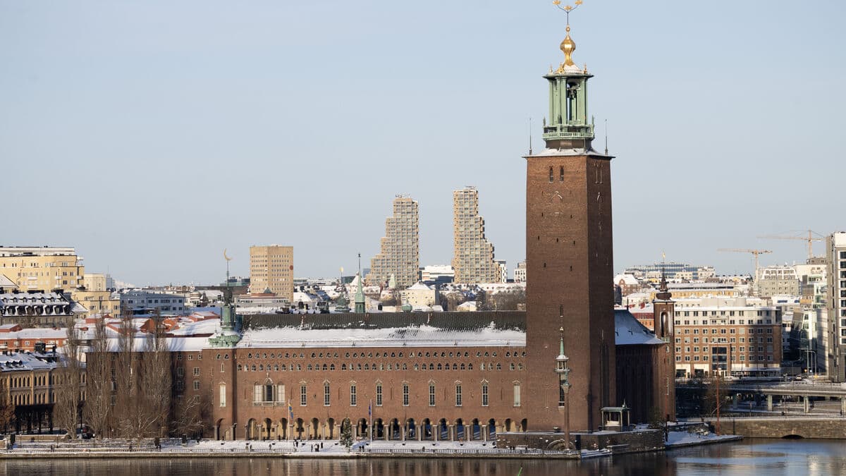 Swedish economy grew more than expected in November