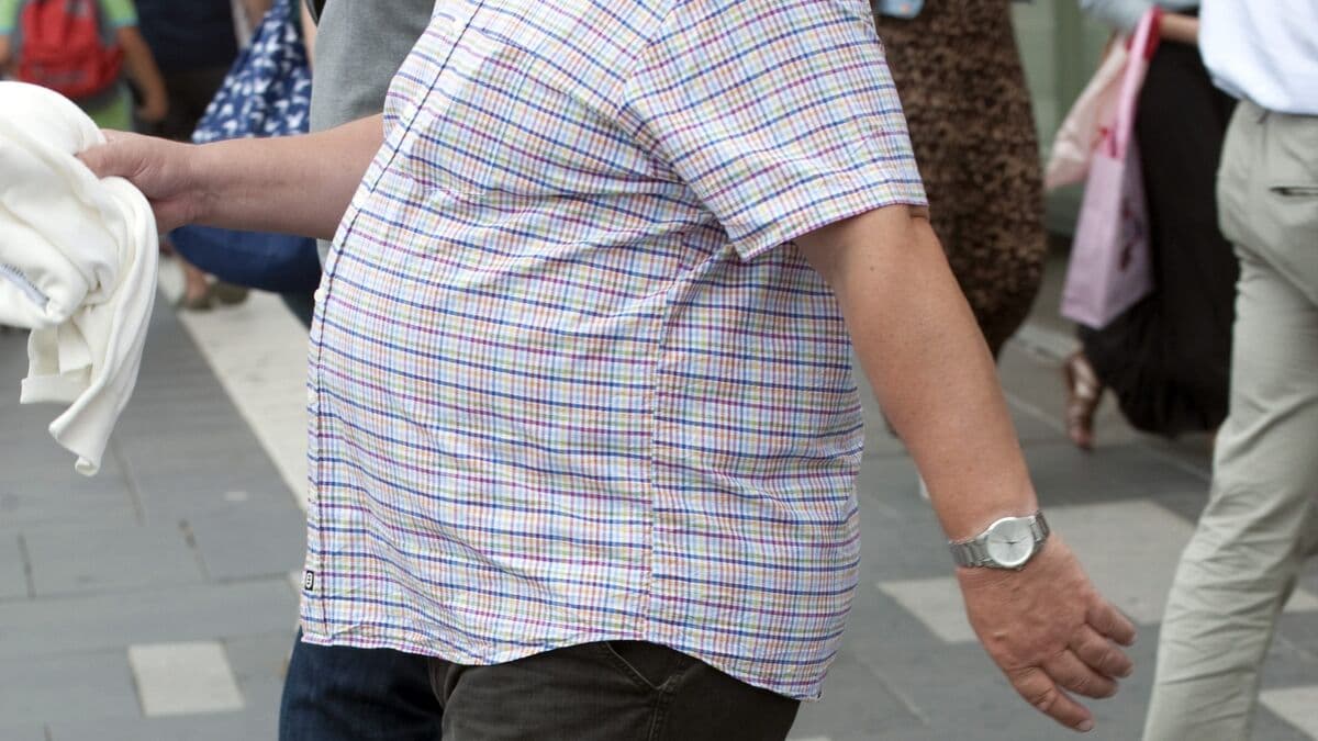 High BMI increases risk of dementia, study says