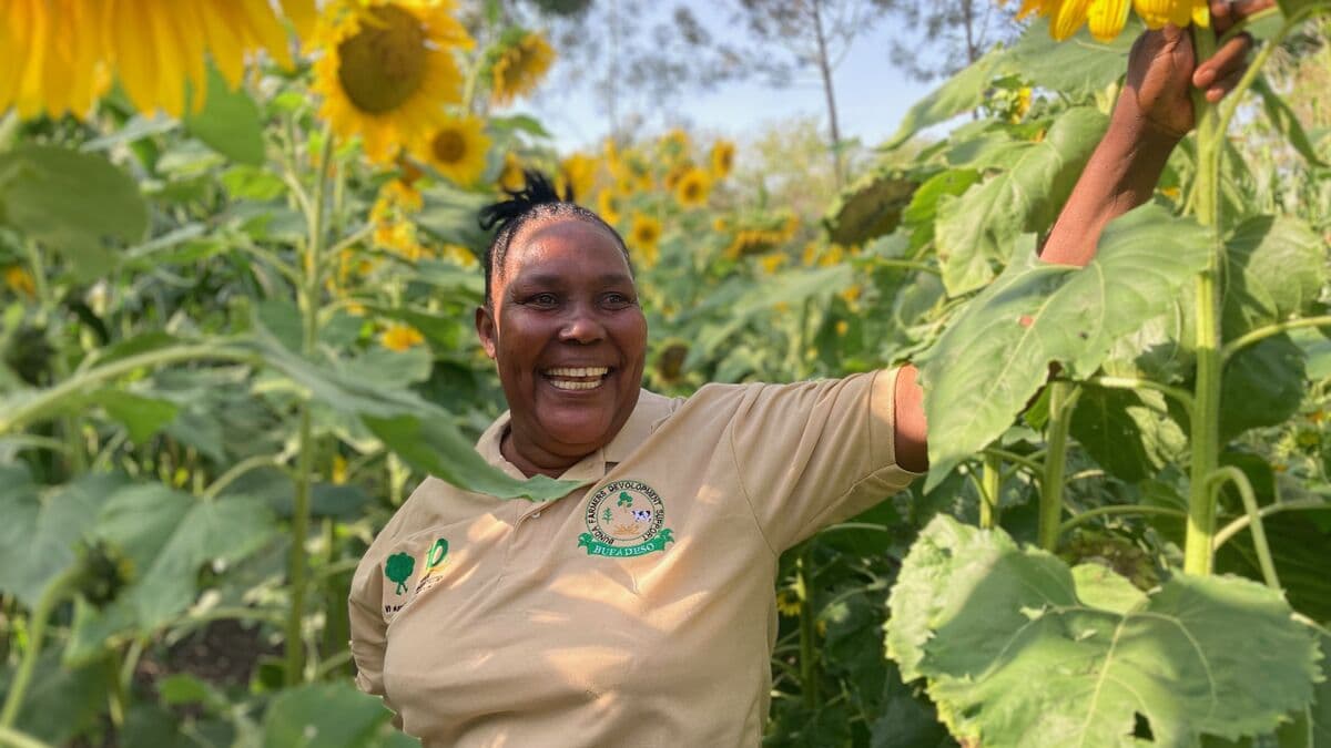 Trees protect Winfrida's farm from changing weather