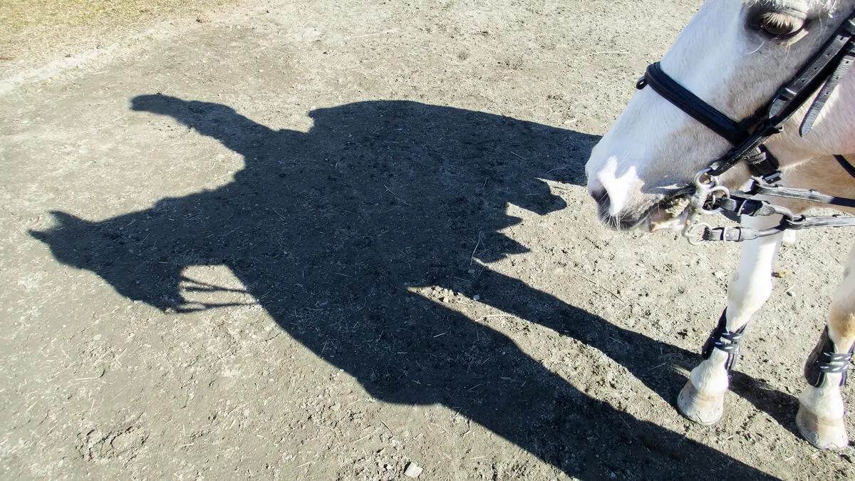 New wave of saddle thefts – police warn