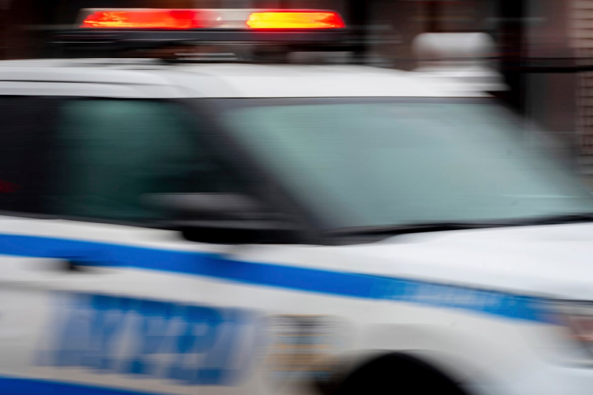 Seven Hospitalized After Machete Attack in Brooklyn