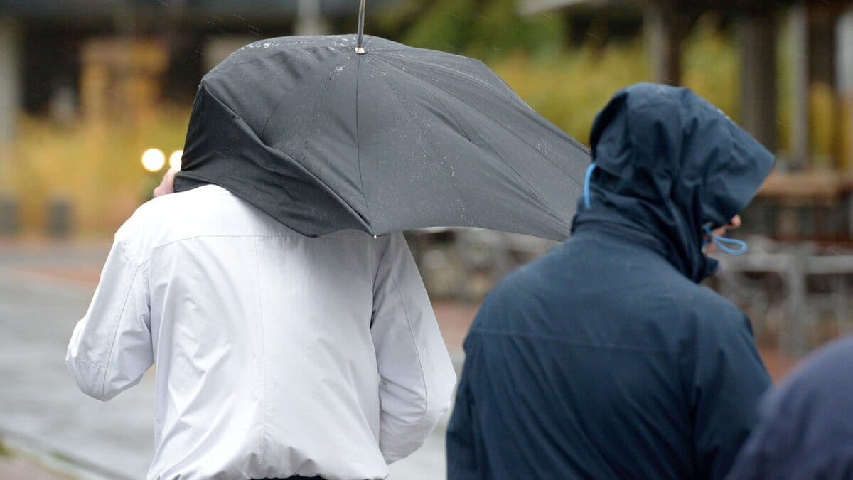 SMHI Issues Yellow Warning as Storm Amy Approaches Sweden