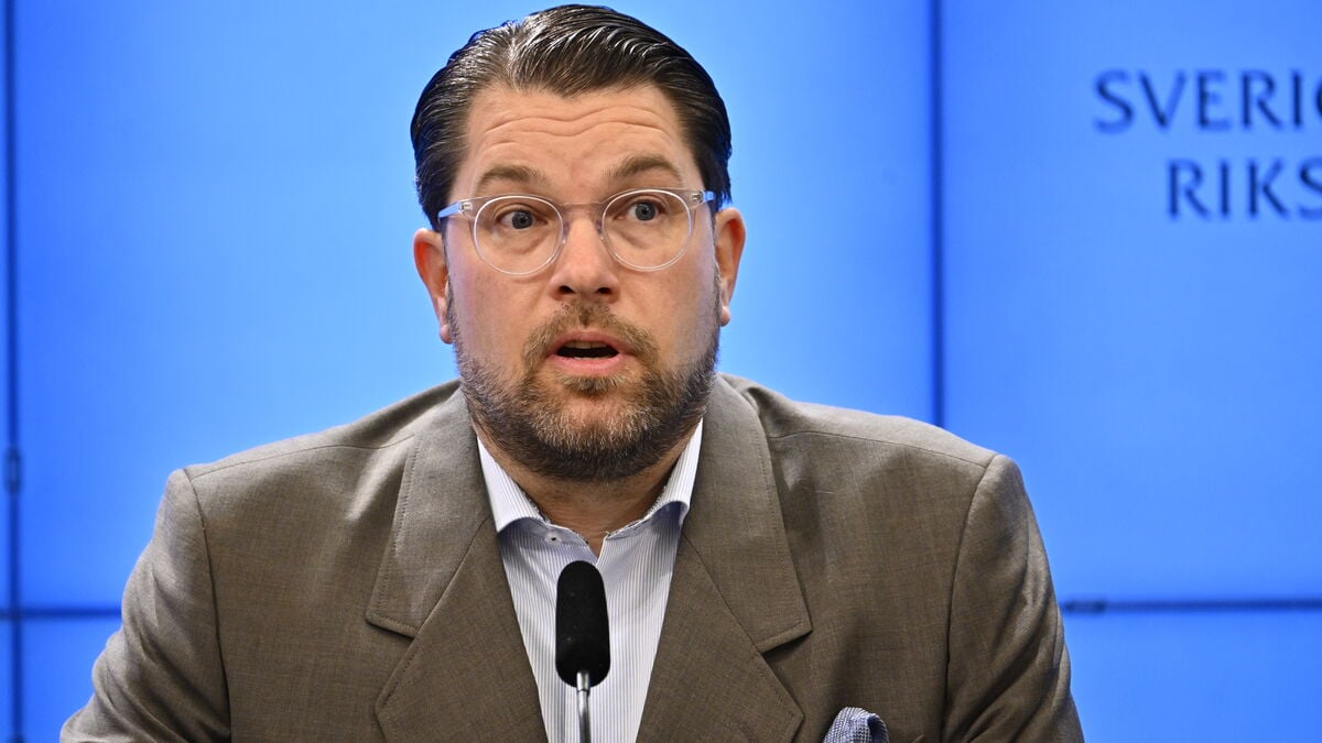 Jimmie Åkesson says SD lost election because voters saw it as no different from Moderates