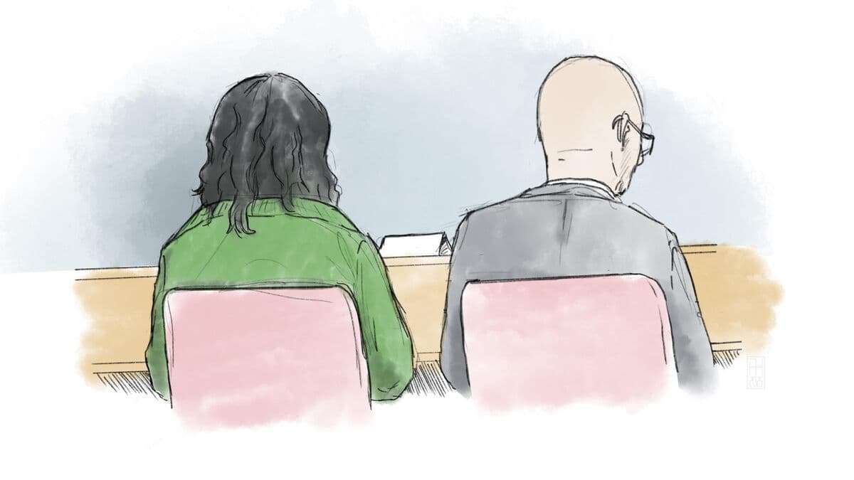 19-year-old convicted of terrorist plots against Stockholm Culture Festival