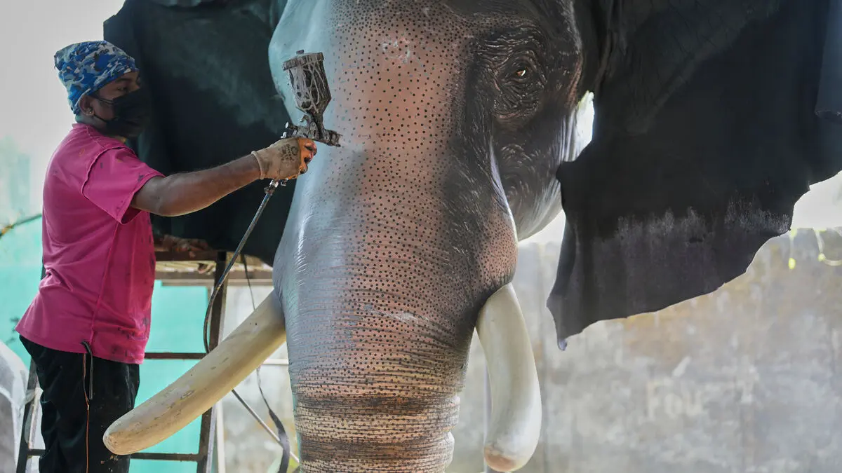 Robot elephants offered to Indian temples as alternatives to live animals