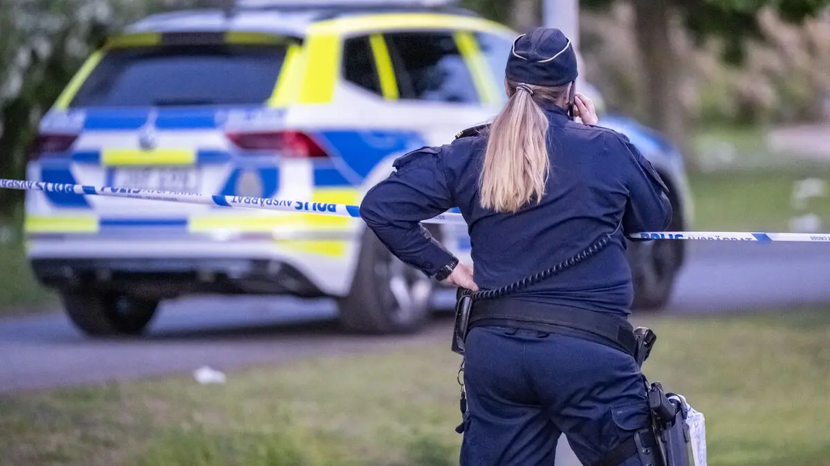 Fights and a deer killed by a dog - that's how Midsummer was