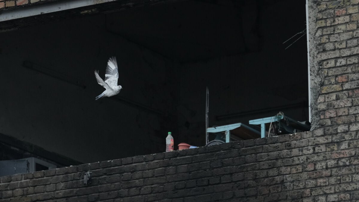 Ukraine and Russia peace talks over, prisoners exchanged