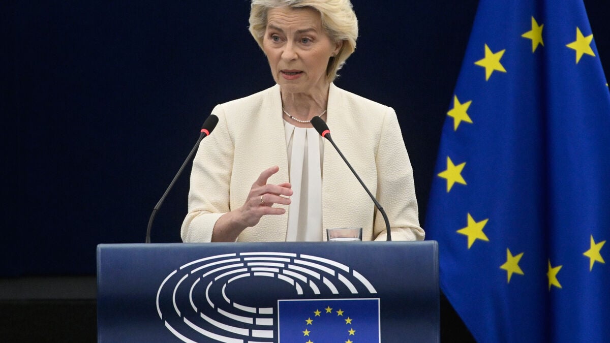 EU proposes social media ban for children under 13 after online bullying case