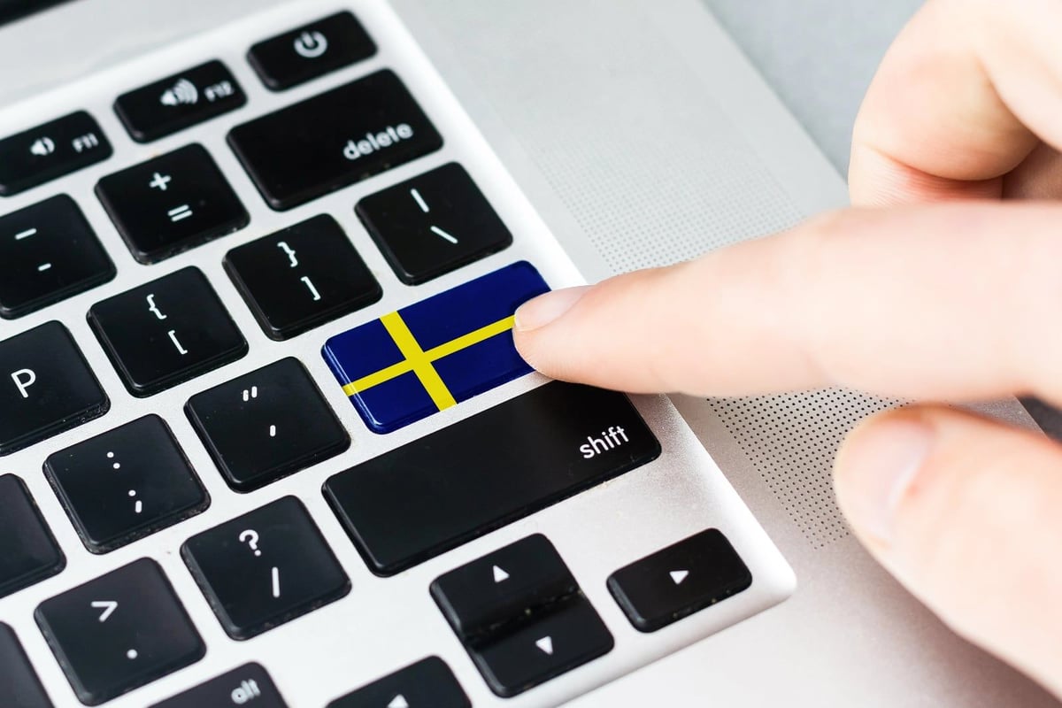 Sweden’s Privacy Paradox: Public Data That Criminals Can Exploit