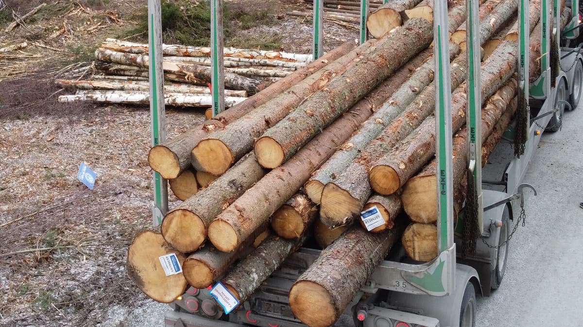 Logging truck drove off the road – driver dead