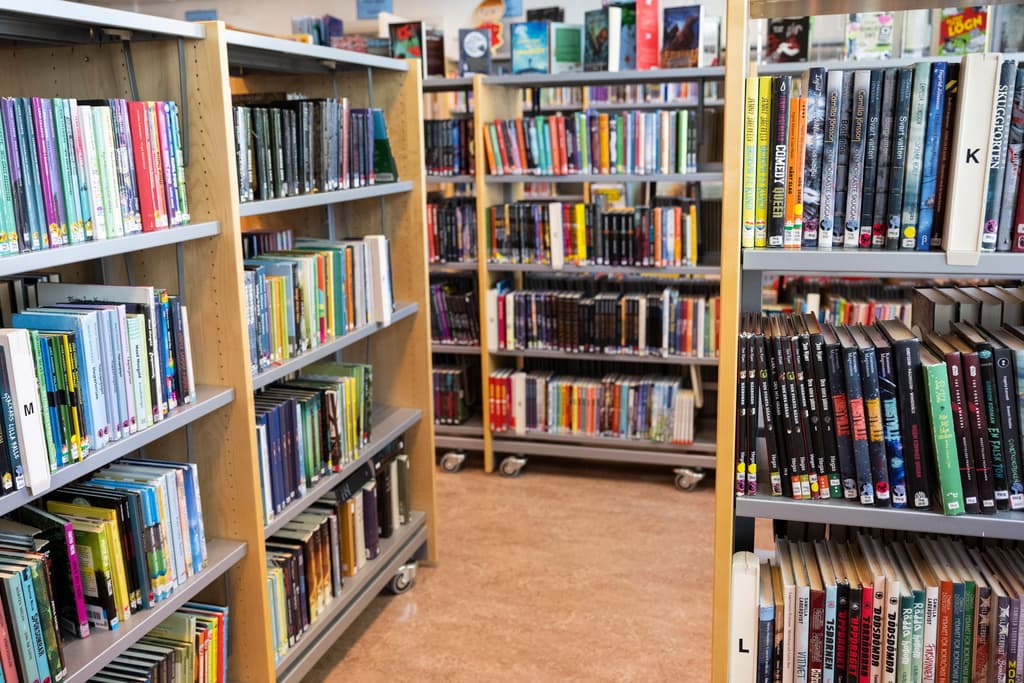 Different plans for school libraries