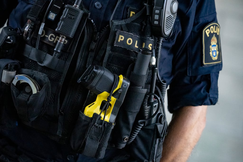 Police Officer Sent Dickpics to Vulnerable Woman