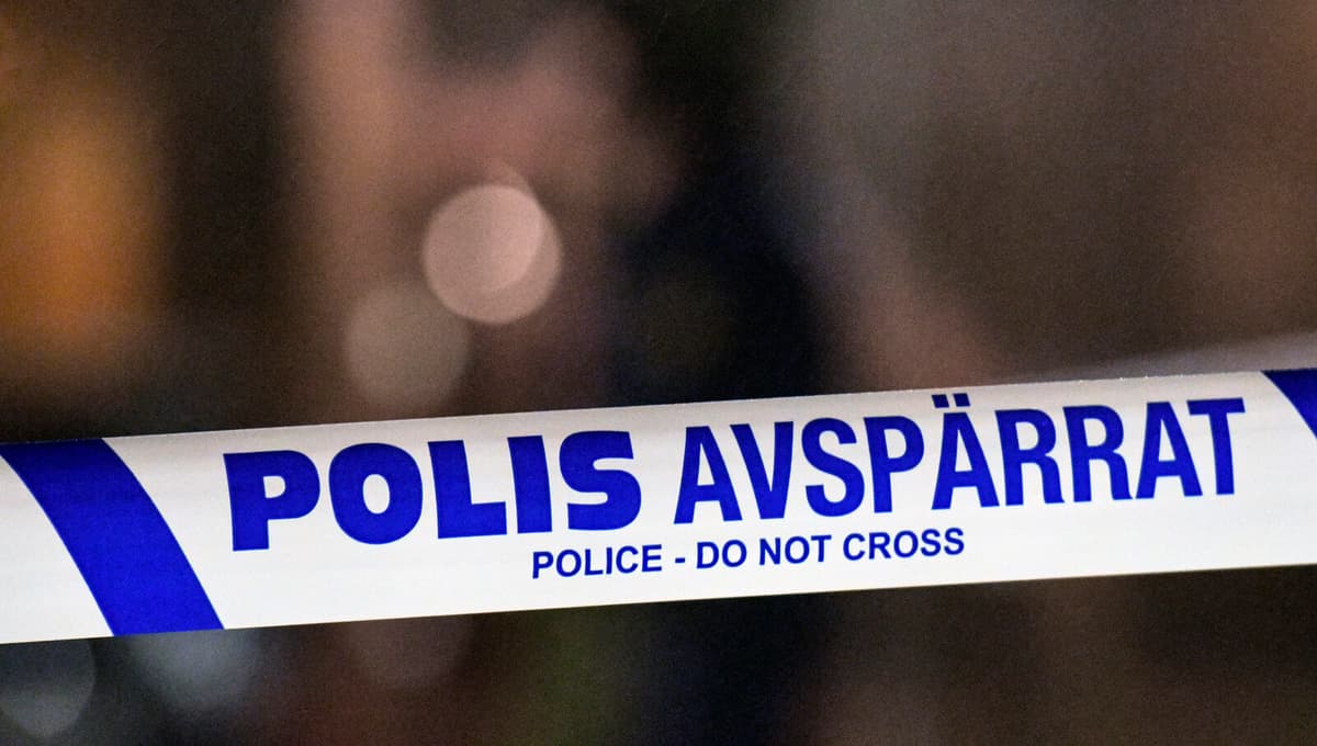 Murder during dog walking - gang leader charged