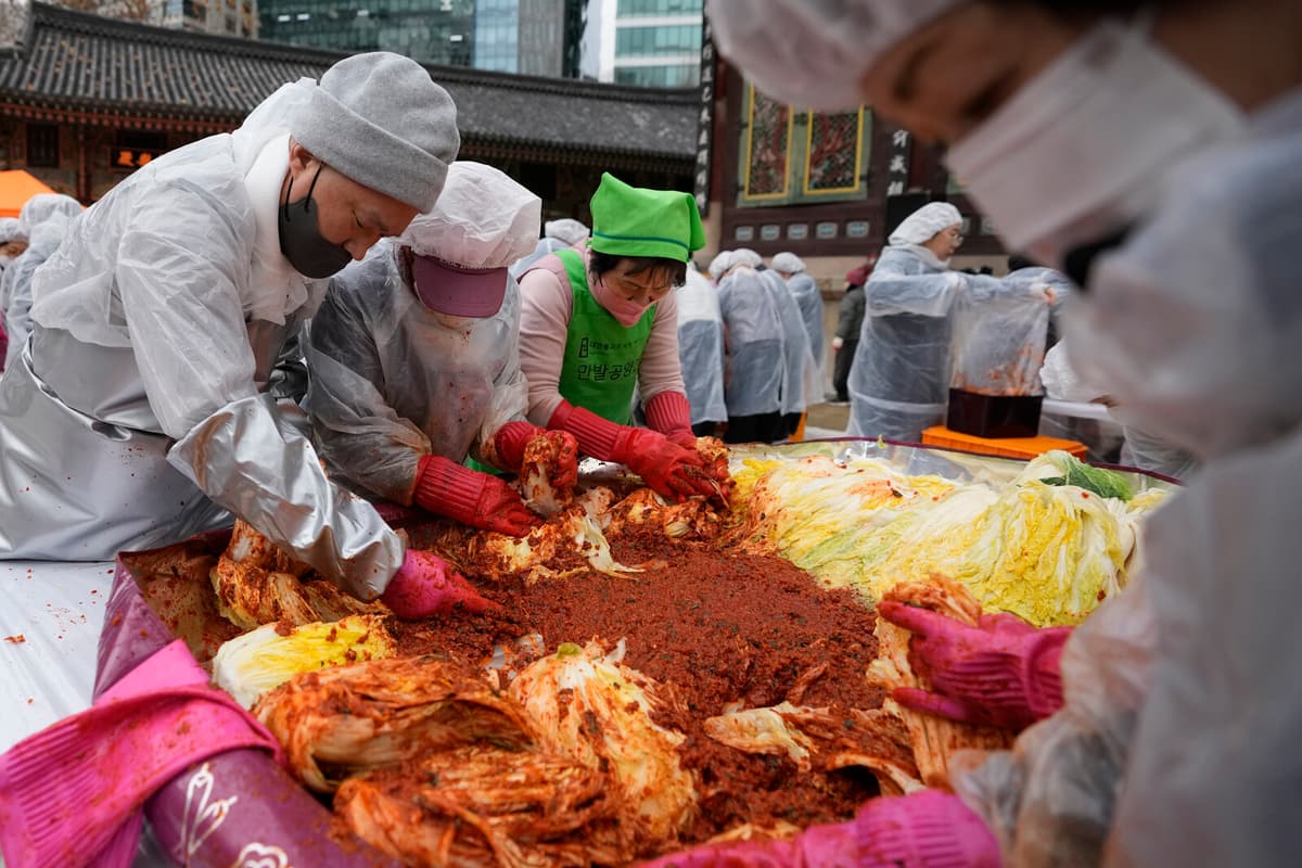 Lettuce Crisis Threatens South Korea's Kimchi