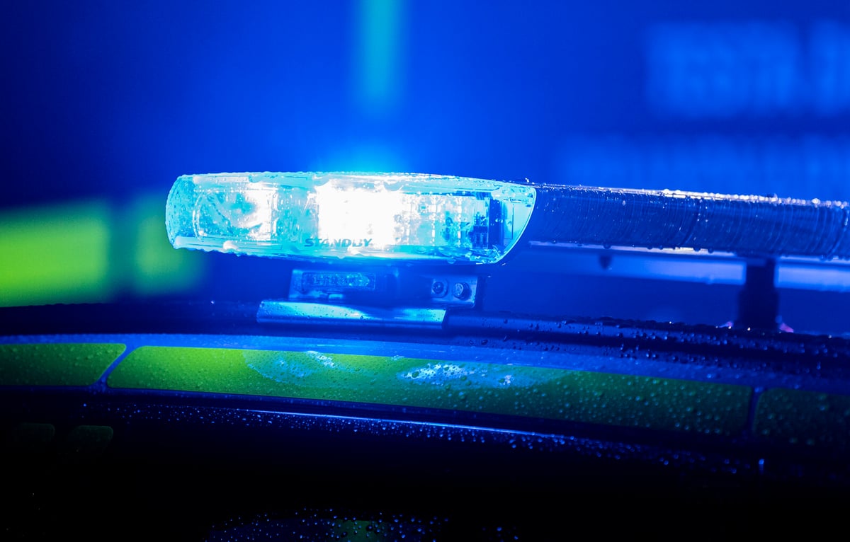 Car drove into tree – four to hospital